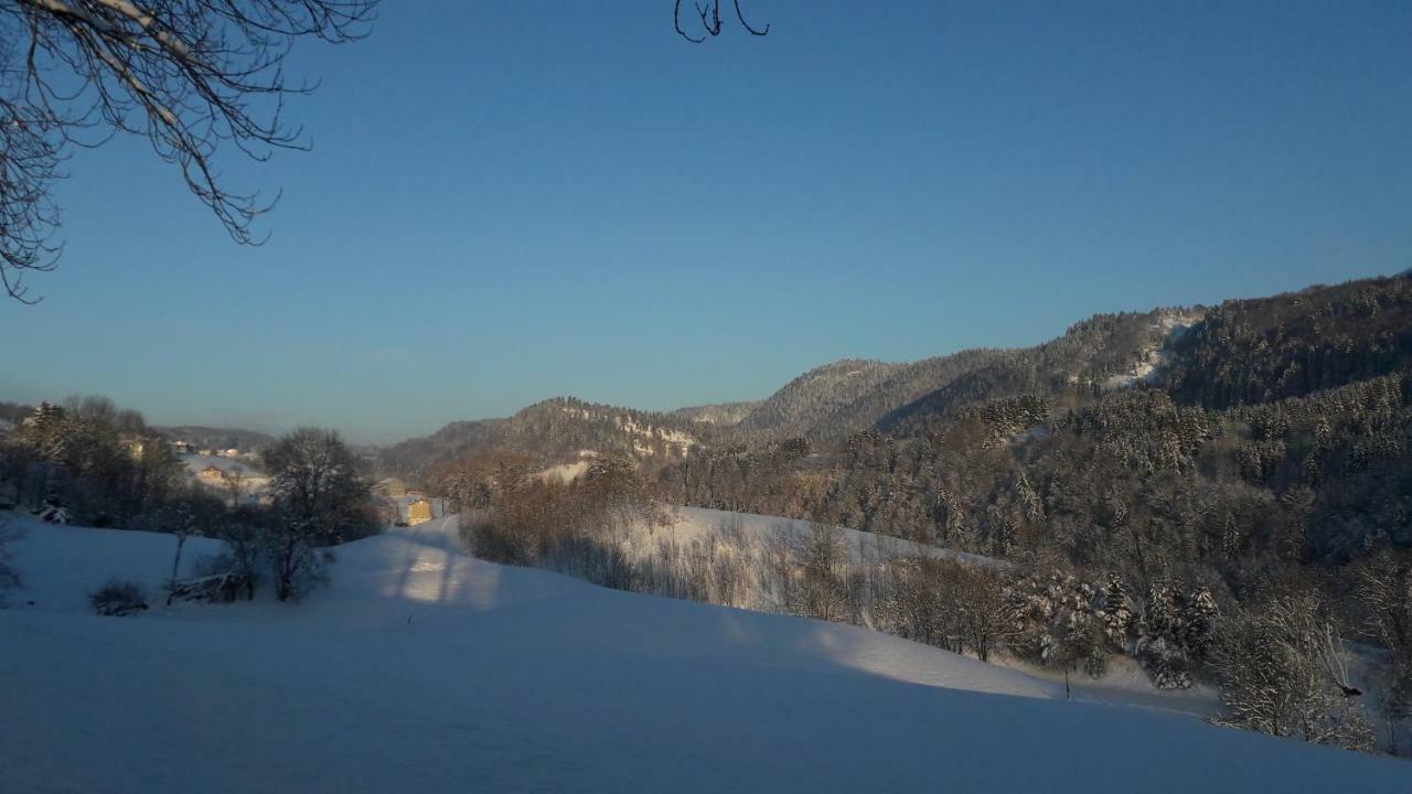 Au Coeur Du Lapidaire Bed & Breakfast