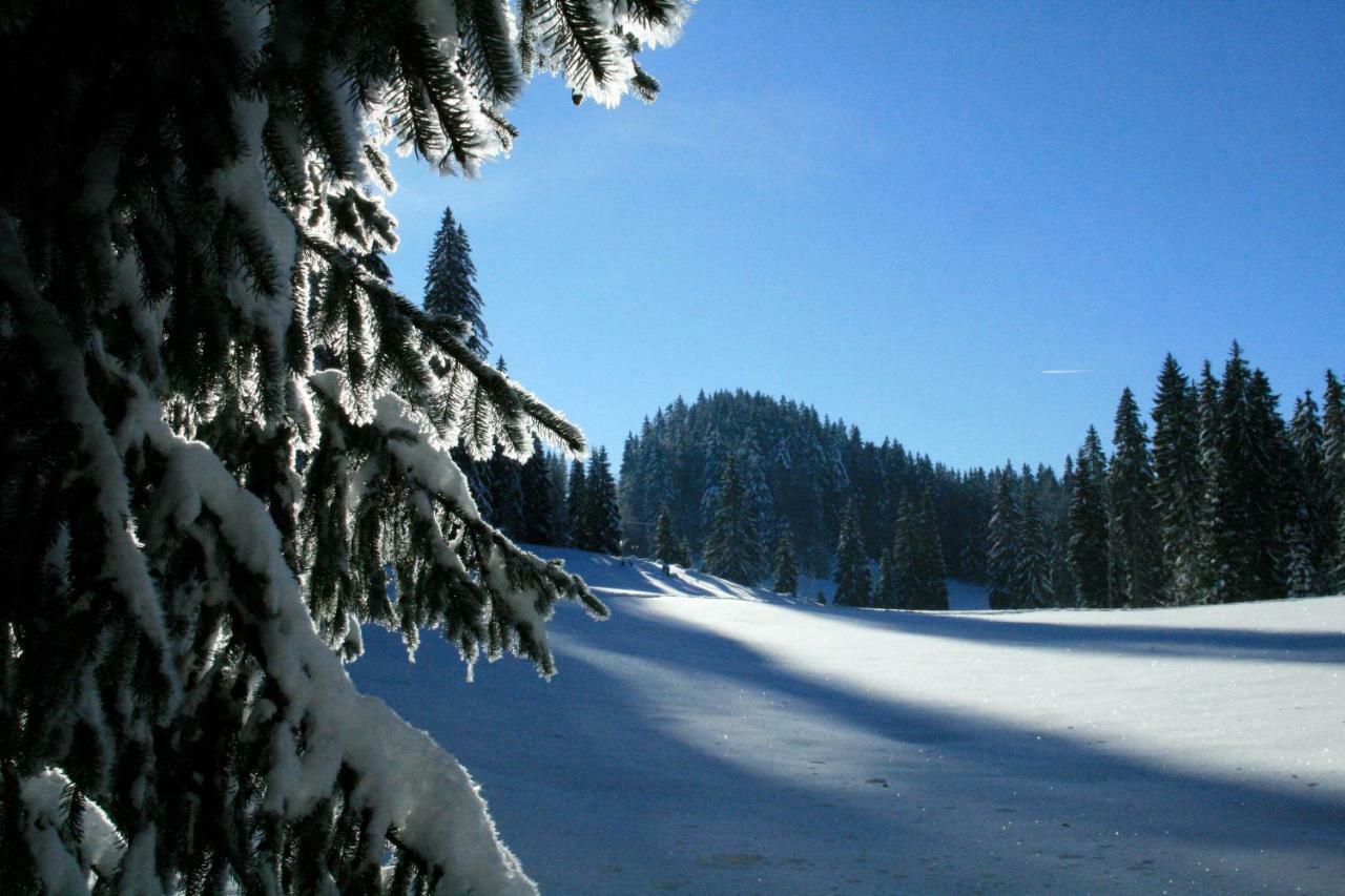 Au Coeur Du Lapidaire 3*