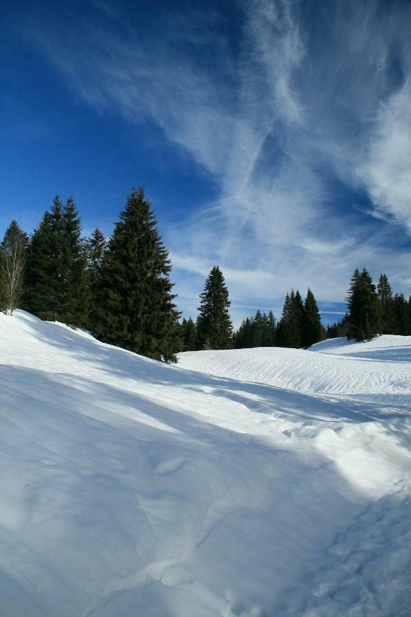 Au Coeur Du Lapidaire 3*