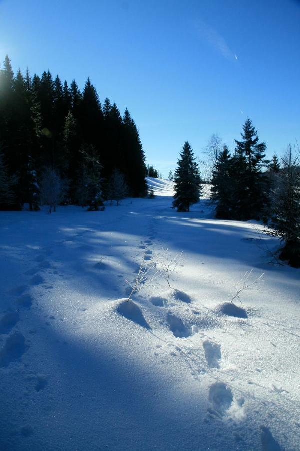 Bed & Breakfast Au Coeur Du Lapidaire 3*