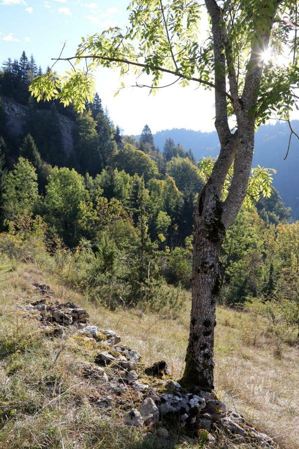 Au Coeur Du Lapidaire 3* Septmoncel-Les-Molunes