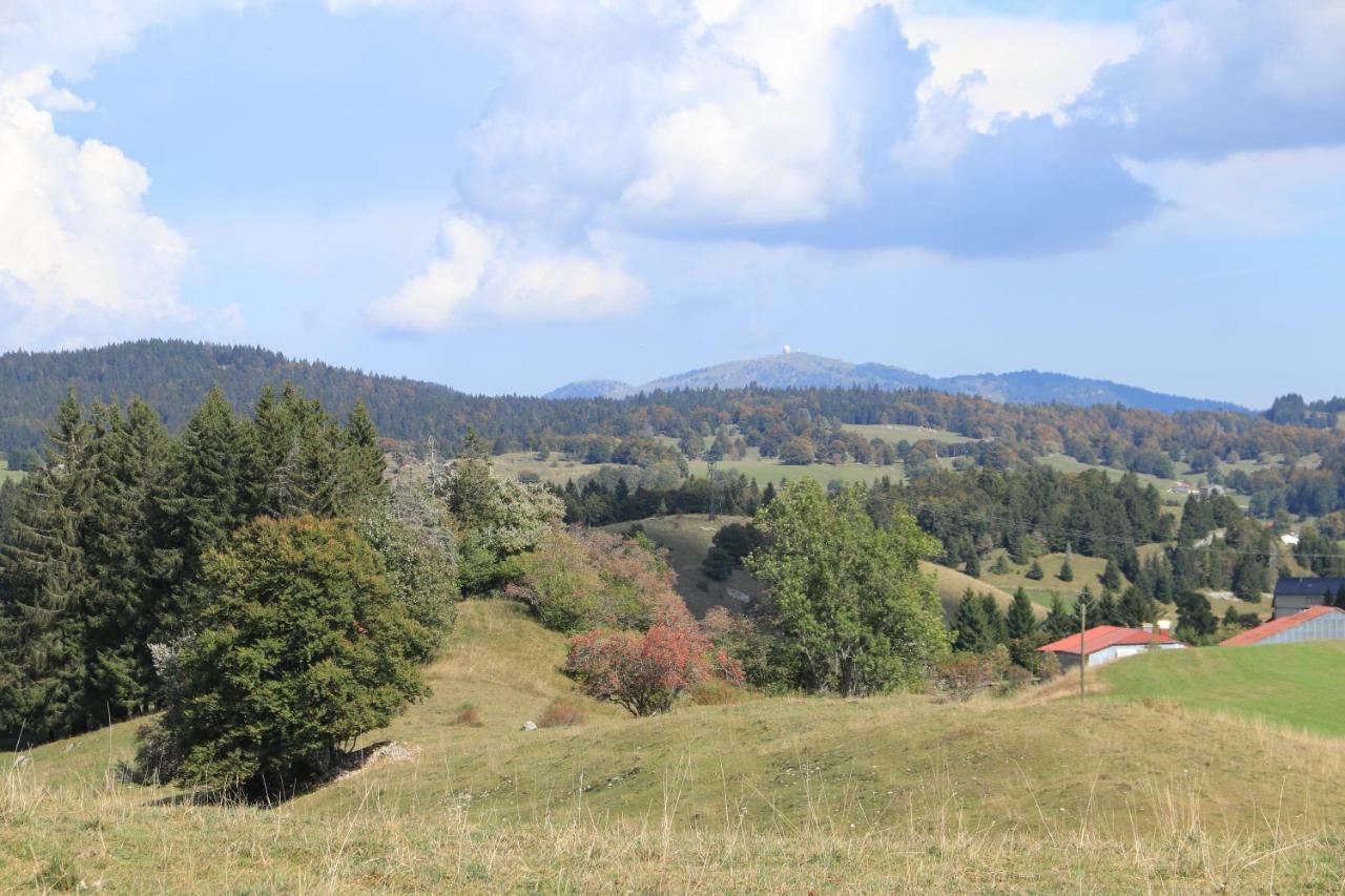 Au Coeur Du Lapidaire