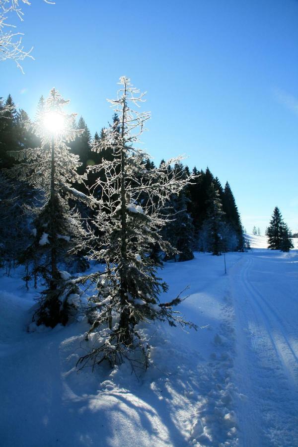 Au Coeur Du Lapidaire Bed & Breakfast